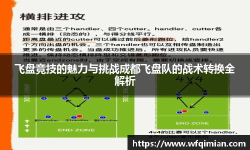 飞盘竞技的魅力与挑战成都飞盘队的战术转换全解析