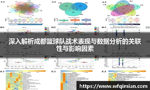 深入解析成都篮球队战术表现与数据分析的关联性与影响因素